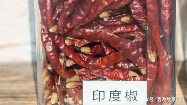 印度魔鬼椒种植方法