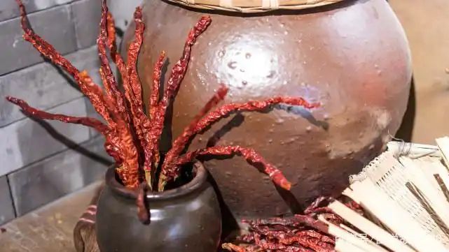 印度魔鬼椒种植方法