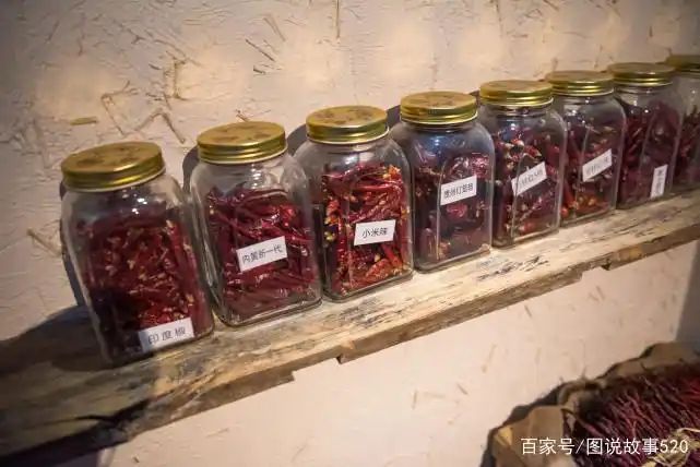 印度魔鬼椒种植方法