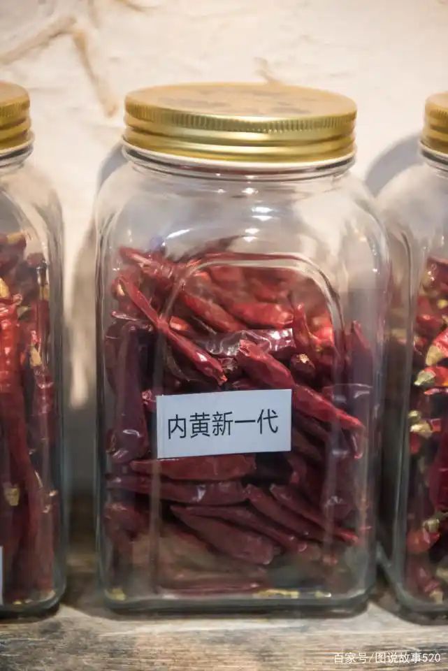 印度魔鬼椒种植方法