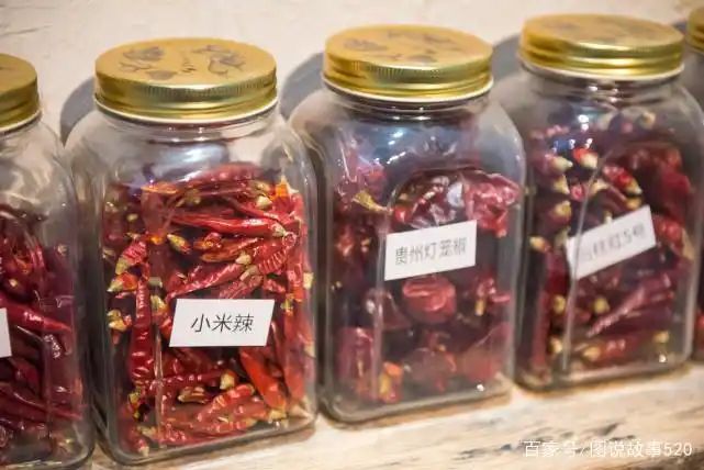 印度魔鬼椒种植方法