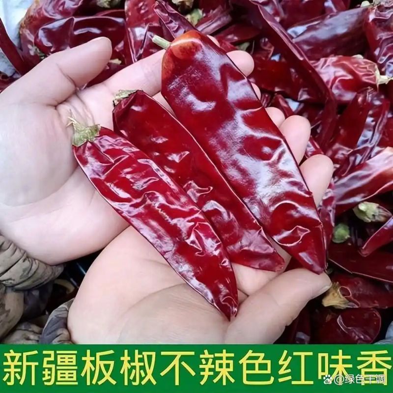 印度魔鬼椒种植方法