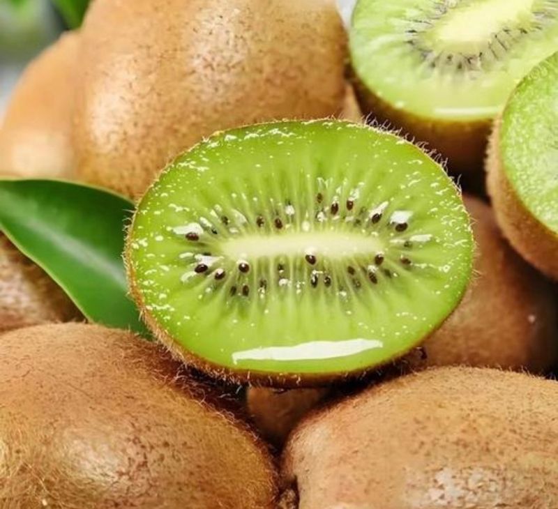 The technology of yellow-heard monkey cultivation