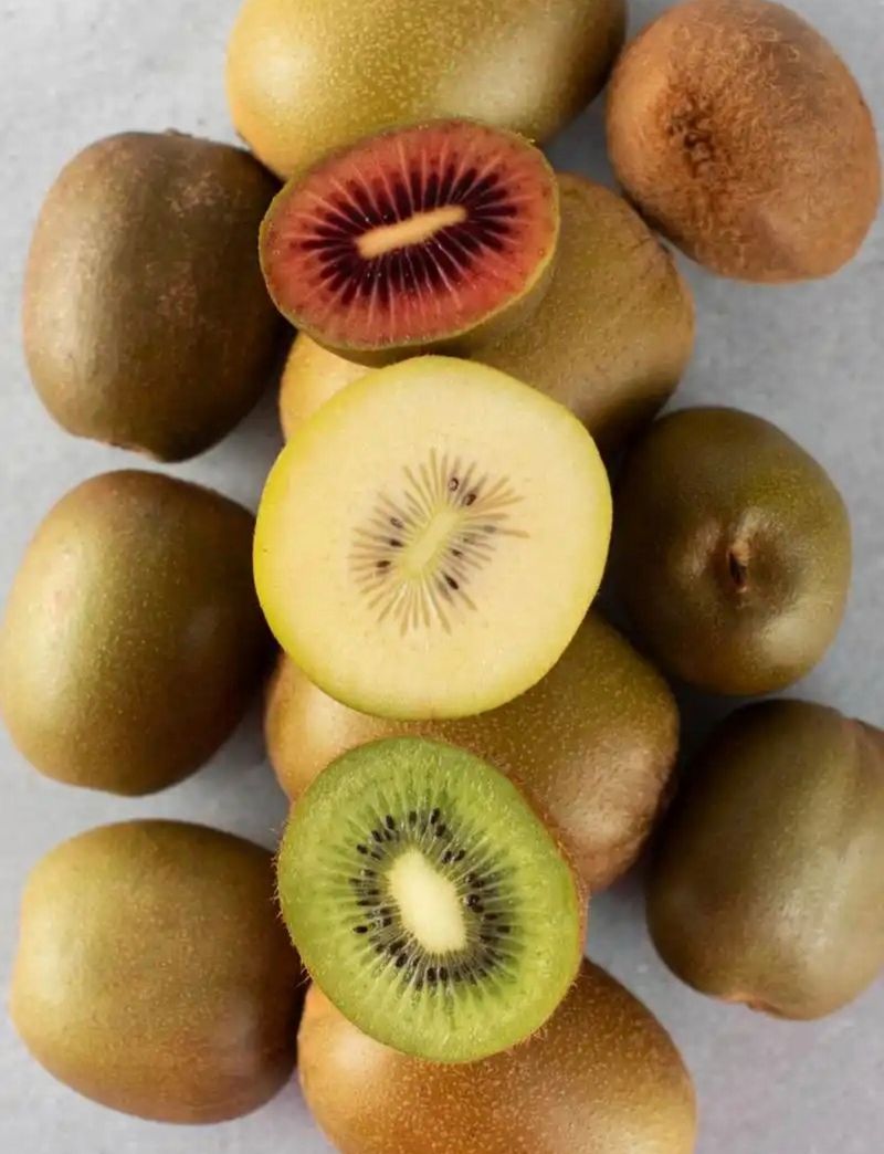 The technology of yellow-heard monkey cultivation