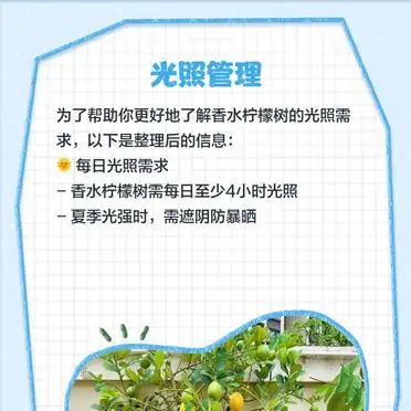 Lemon tree planting techniques