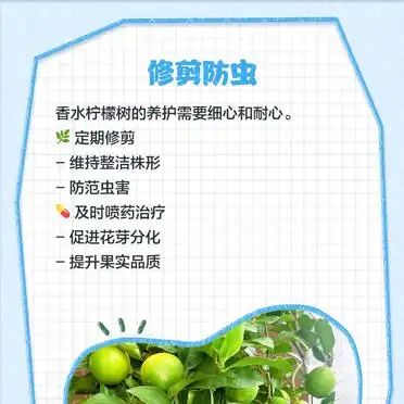 Lemon tree planting techniques