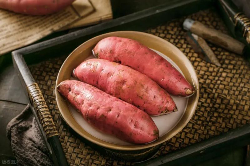 Water cultivation methods for red potato leaves