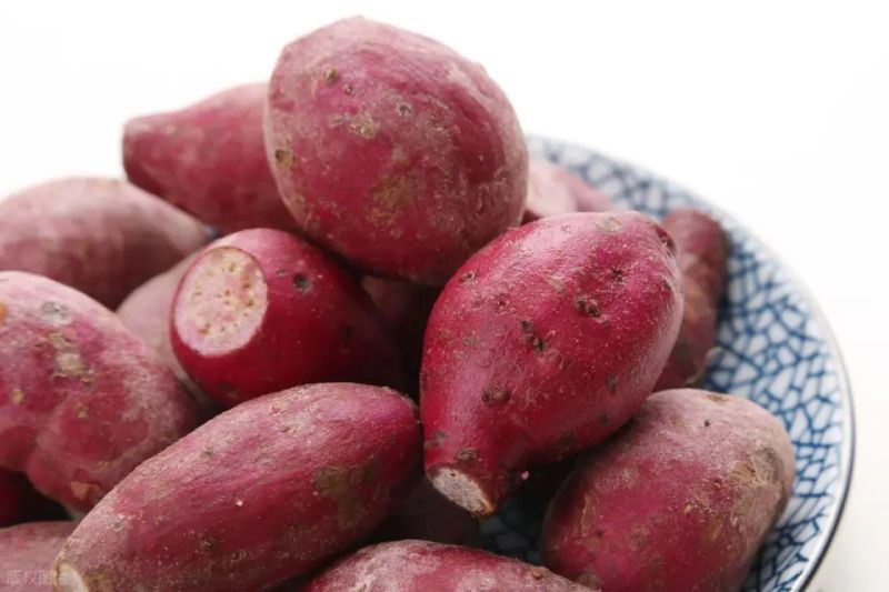 Water cultivation methods for red potato leaves