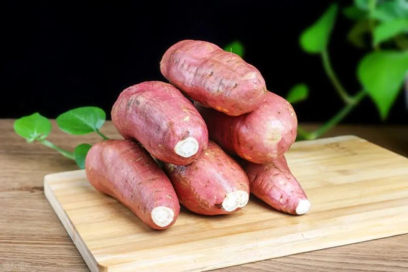 Water cultivation methods for red potato leaves