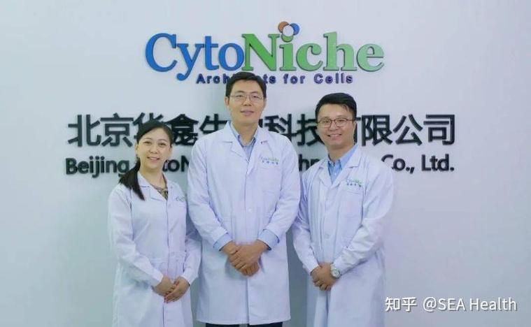 cart细胞治疗原理