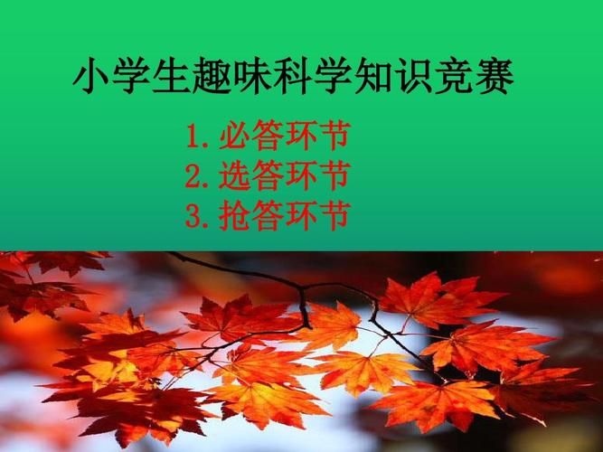 趣味知识竞赛ppt