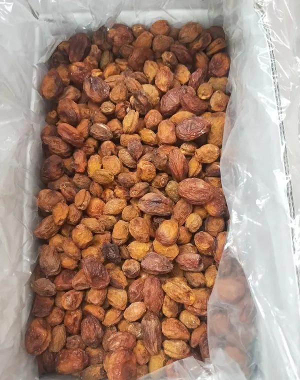 Guangjiangjiang hammelon dry price