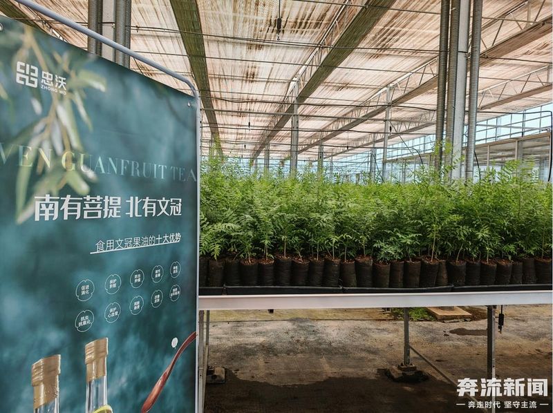 It's the technology to grow the canopy