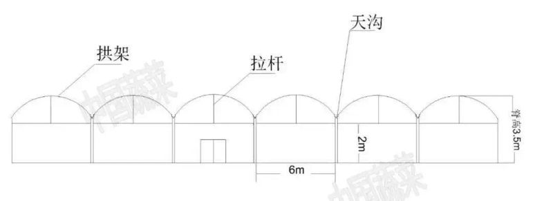 Technology for fruit growing in large sheds