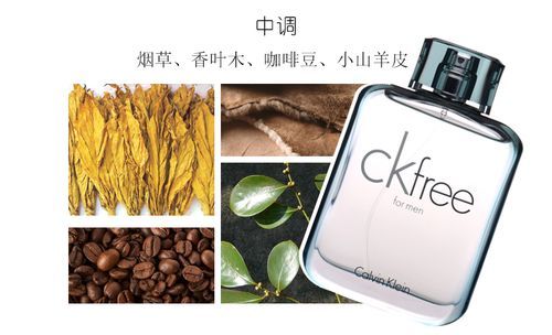 ck free香水多少钱