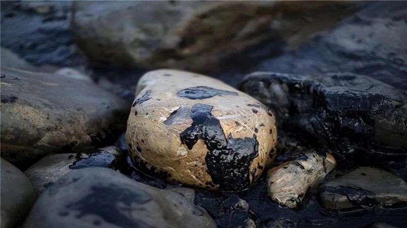 石油价格波动中国能源安全