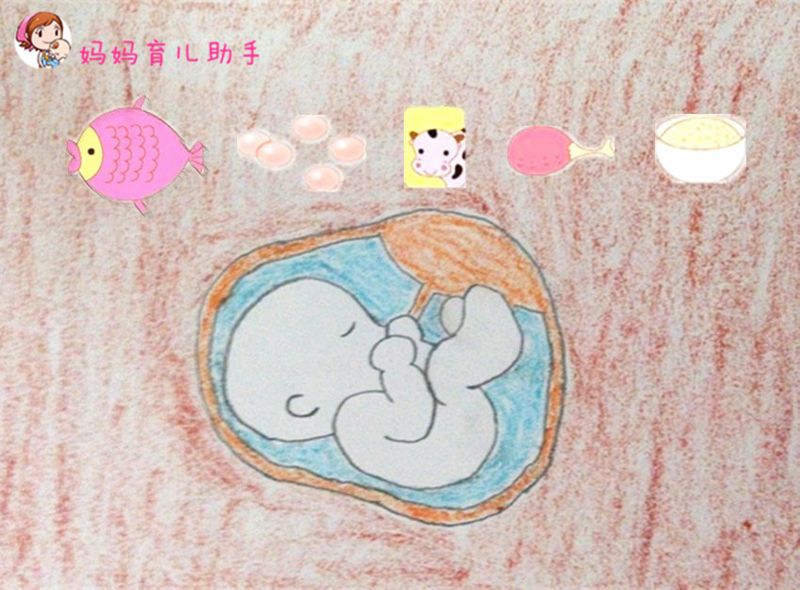 Questions and answers on nutrition during pregnancy
