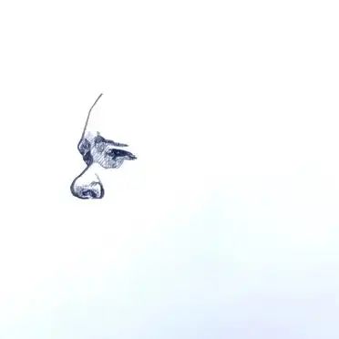 Headsteps
