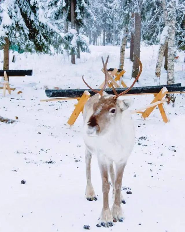 How much for finland