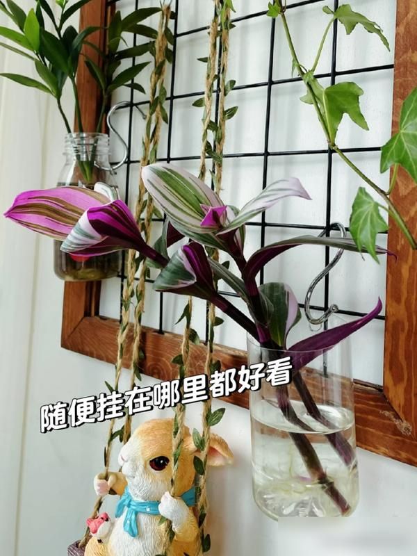 The method of breeding the chandelier