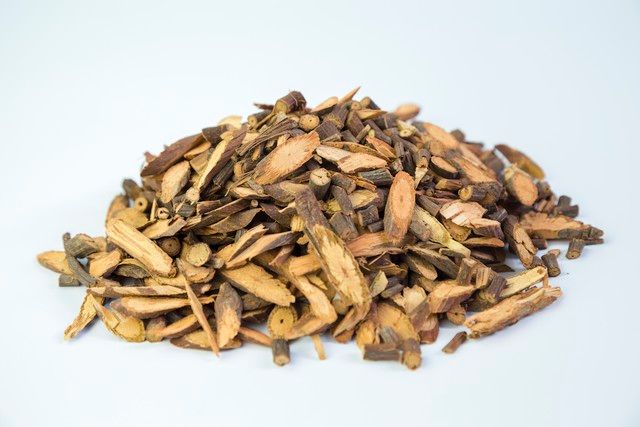 板蓝根种植技术与效益