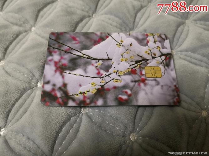 昆明动物园门票多少钱