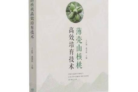 美国山核桃种植技术
