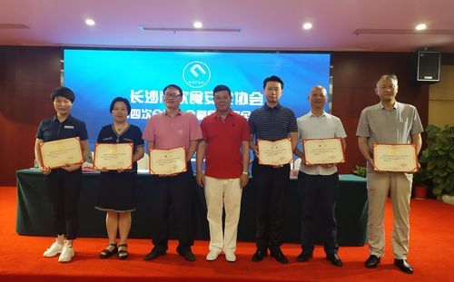 长沙网站排名方案