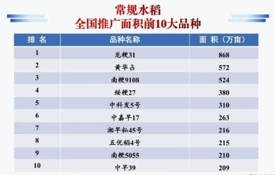 种子网站排名