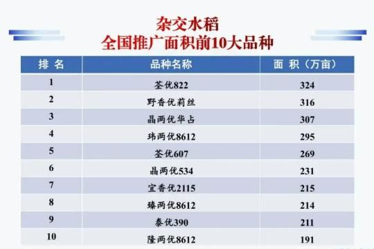 种子网站排名