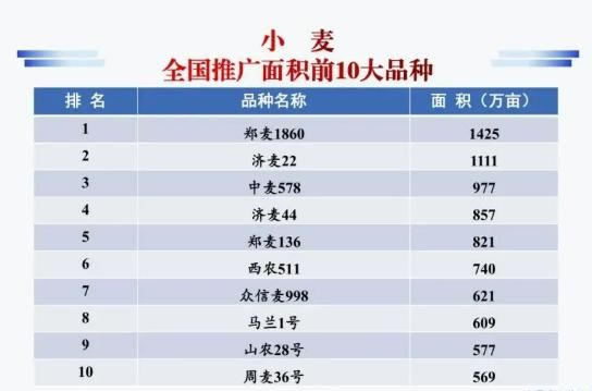 种子网站排名