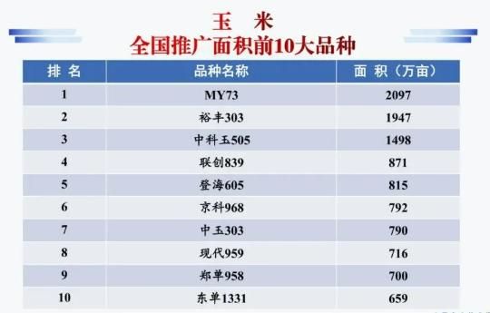 种子网站排名