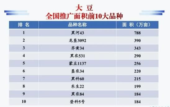 种子网站排名