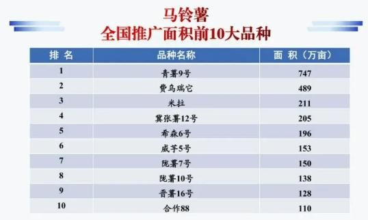 种子网站排名