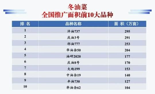 种子网站排名
