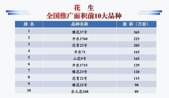 种子网站排名