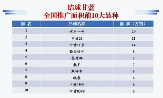 种子网站排名