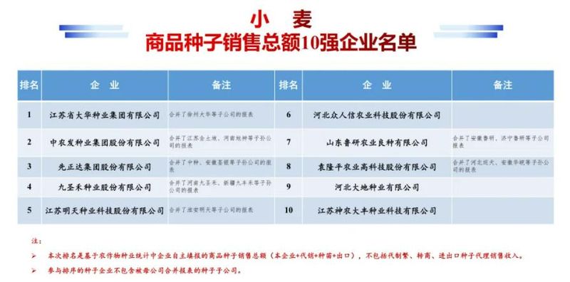 种子网站排名