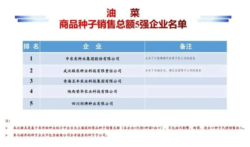 种子网站排名