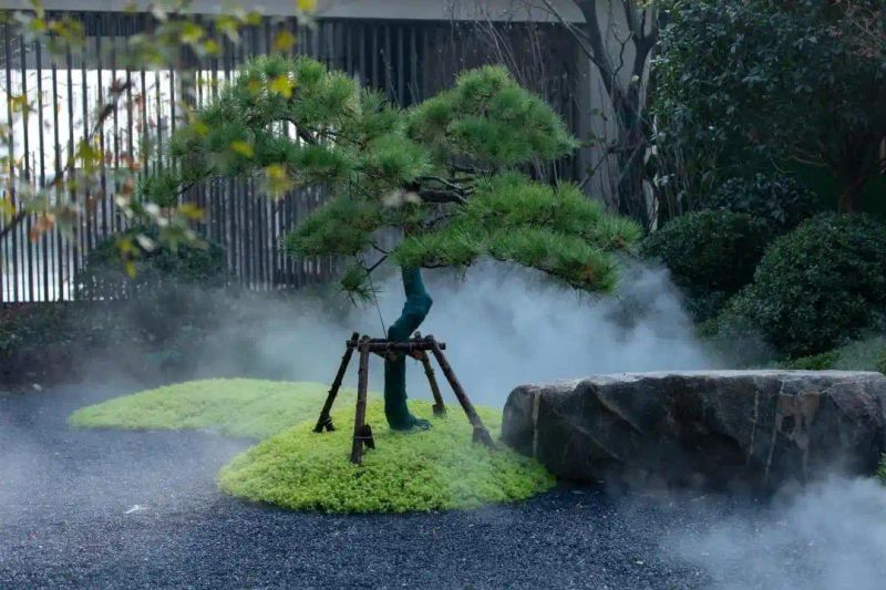 植物种植土层厚度