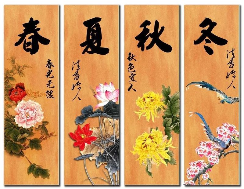 四季养生饮食健康饮食知识问答