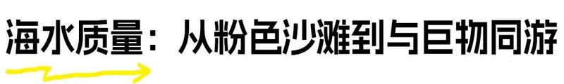 去巴厘岛旅游带多少钱