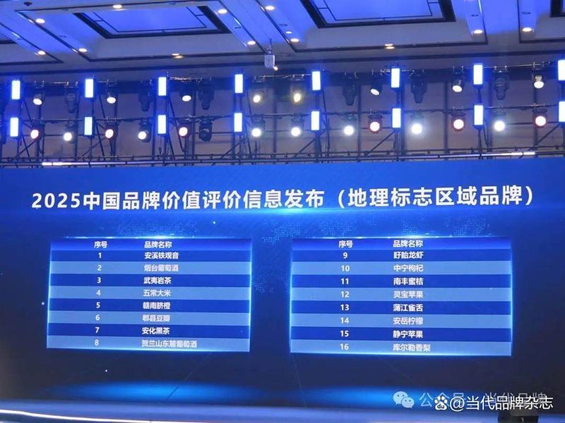 知识产权生态链
