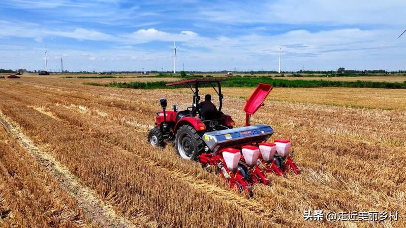 Super-high production methods for maize