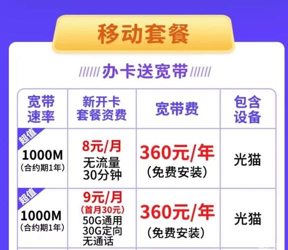 网吧100m光纤多少钱