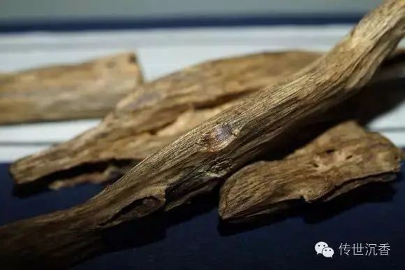 沉香种植方法