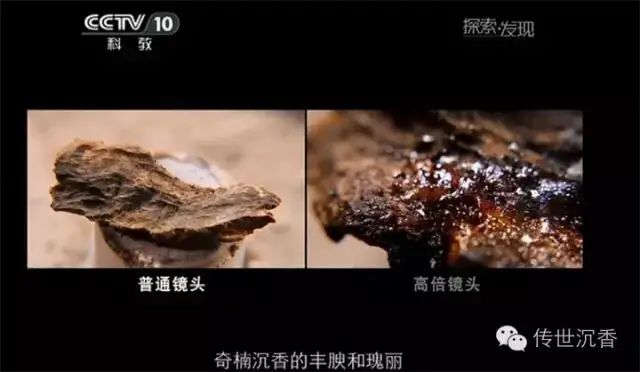 沉香种植方法