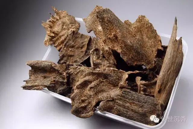 沉香种植方法