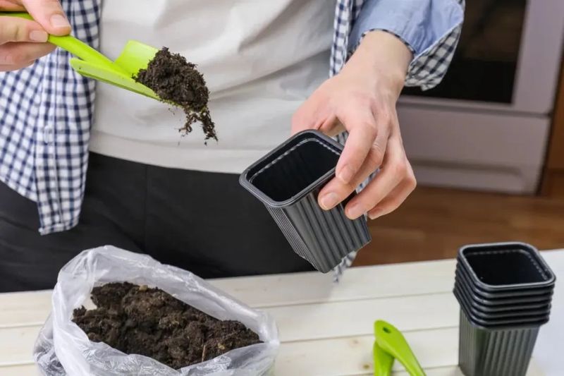 Plantation methods