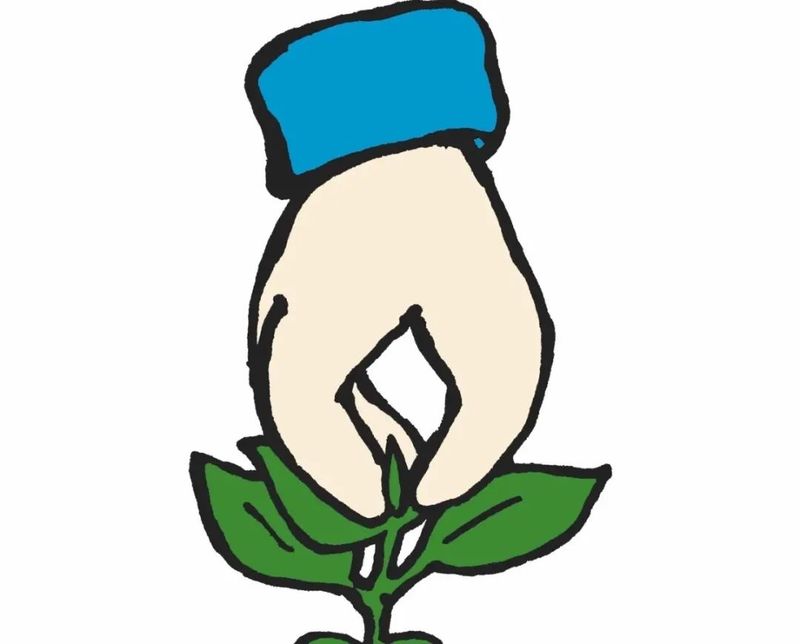 Plantation methods